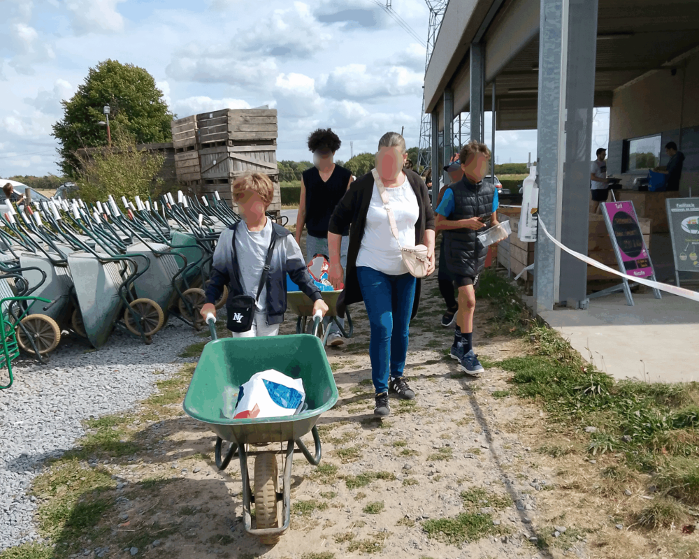 sortie nature cueillette